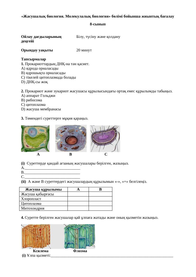 1 БЖБ Распечаткаға Жасушалық биология 8 сынып