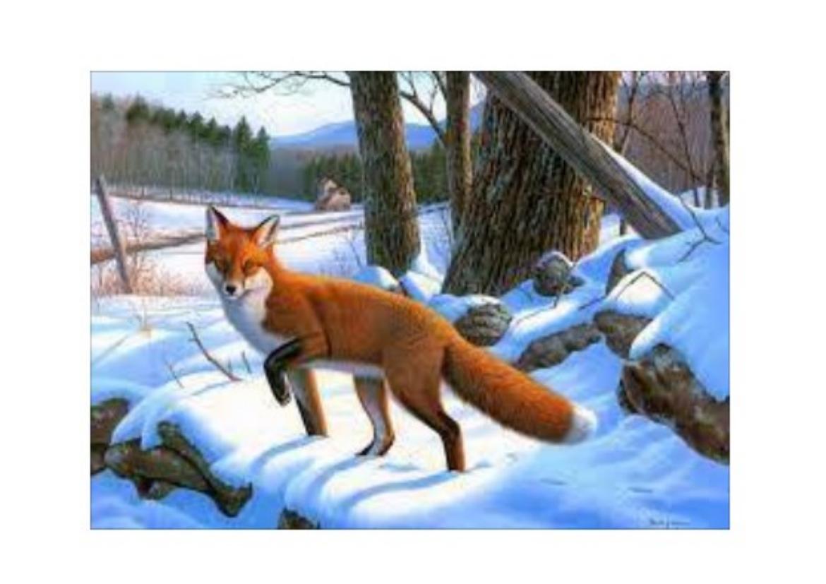 8-сабақ.Жаратылыстану