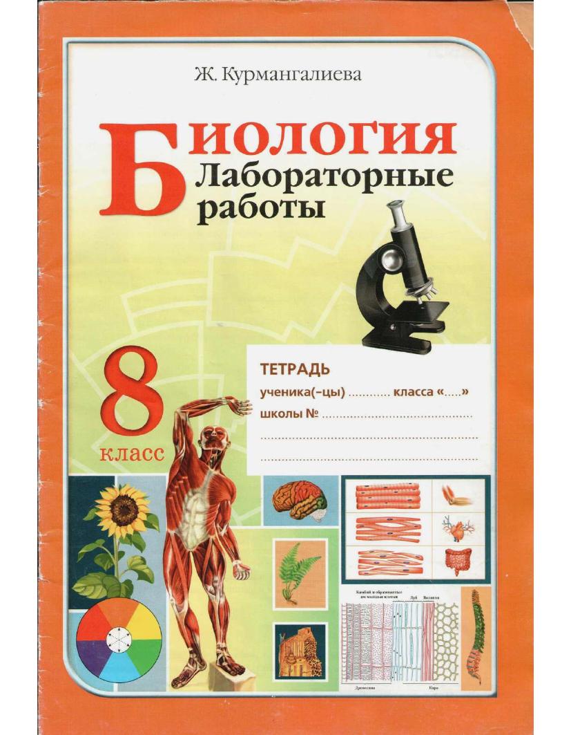 лаб. работы биология  8 кл