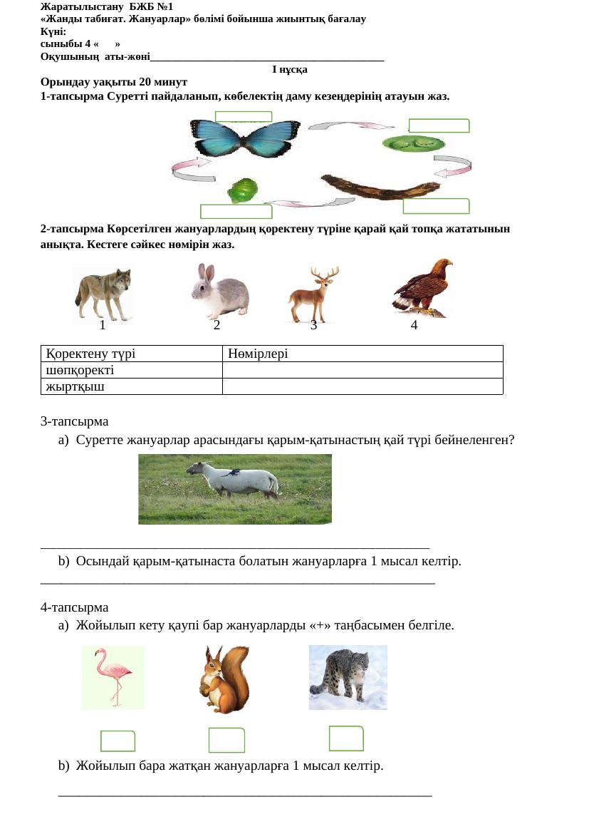 Жаратылыстану БЖБ,ТЖБ 4 СЫНЫП (1)