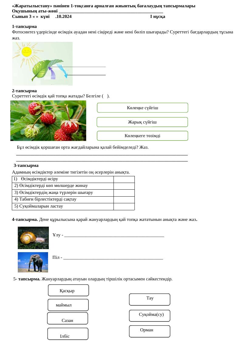 Жаратылыстану БЖБ №1 қазан Айжан